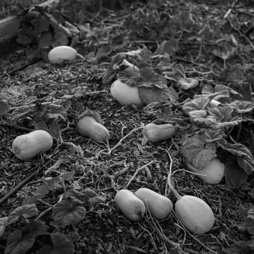 Toward Sustainability